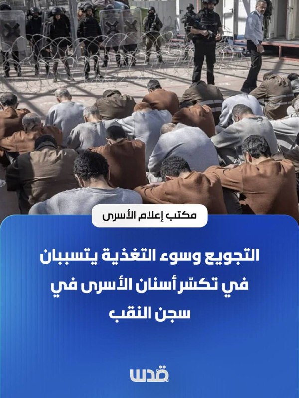 לשכת המידע לאסירים: רעב ותת תזונה גורמים לשבירת שיני אסירים בכלא הנגב