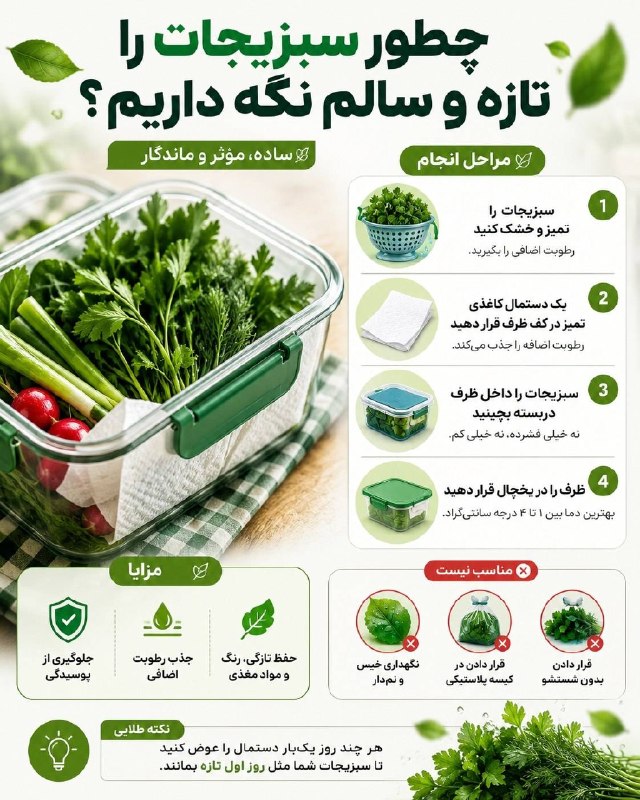 اخبار گیلان: ♦️چطور سبزیجات را تازه و سالم نگه داریم ؟#ترفند@akhbaregilan
