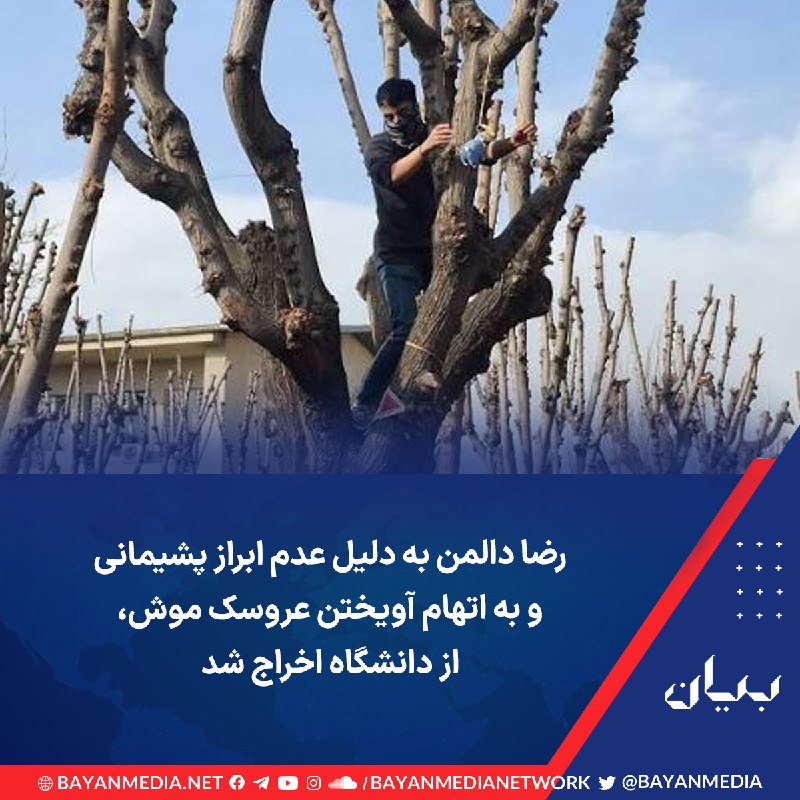 شبكه رسانهاى بیان: حکم اخراج رضا دالمن، دانشجوی کارشناسی ارشد مهندسی کامپیوتر دانشگاه صنعتی شریف پس از تائید شورای مرکزی انضباطی سازمان امو