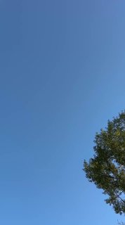 היופי שלנו על חרקוב חדשות חרקוב הצביעו לערוץ