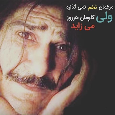 🌹روزگاری غریب🌹: روزگـار جالبی است !!!!مــرغمان تـخـم نمـــےگذاردامـــــا؛؛؛گــاومــان هــر روز مــیزایــد...🖊زنده یاد پناهی🆔 : 👉 @roozeg