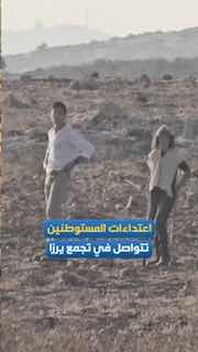 ההתקפות לא מפסיקות. מתנחלים משחררים את משק החיות שלהם בין בתים פלסטינים בקהילת "ירזה" הצפונית, מזרחית לכפר…