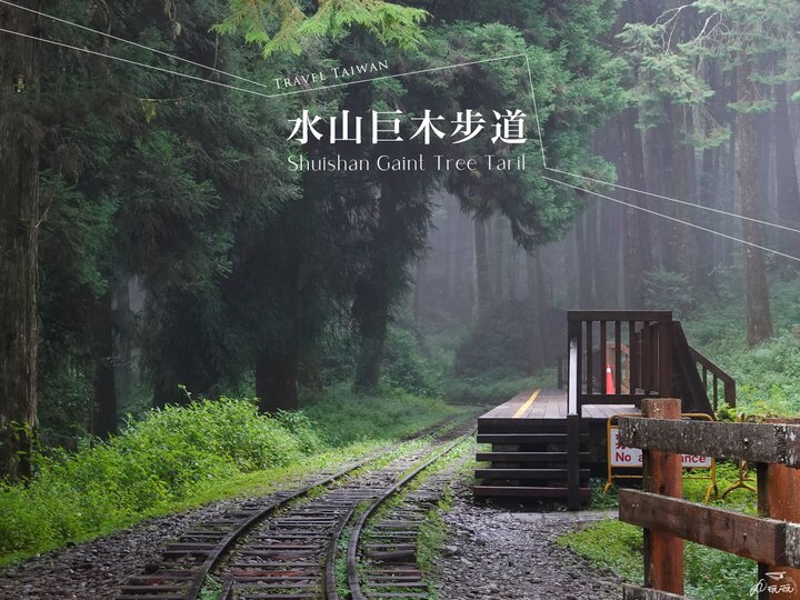 水山巨木步道-阿里山森林遊樂區的秘境步道
