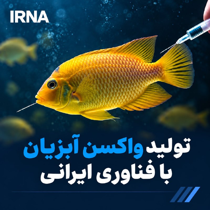 The researchers of the Academic Jihad Organization in Tehran have achieved the technology of producing aqueous vaccines, this achievement can save the country from importing these vaccines.