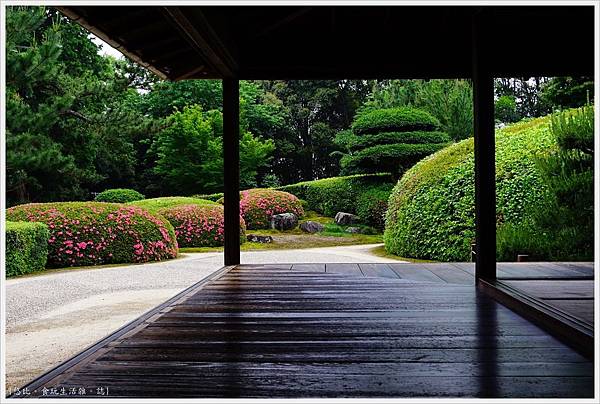 [奈良|三大名園之一。杜鵑花增色 慈光院]