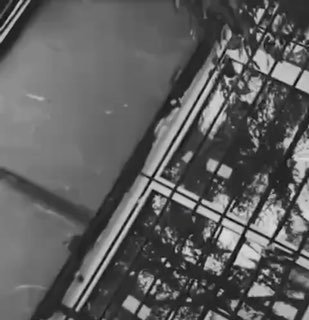 ברובע לנינסקי בדונייצק, אמא לשני תינוקות פנתה לשירות השיגור עקב בעיות במעלית, והיא נענתה בגסות על פי הדיווח…