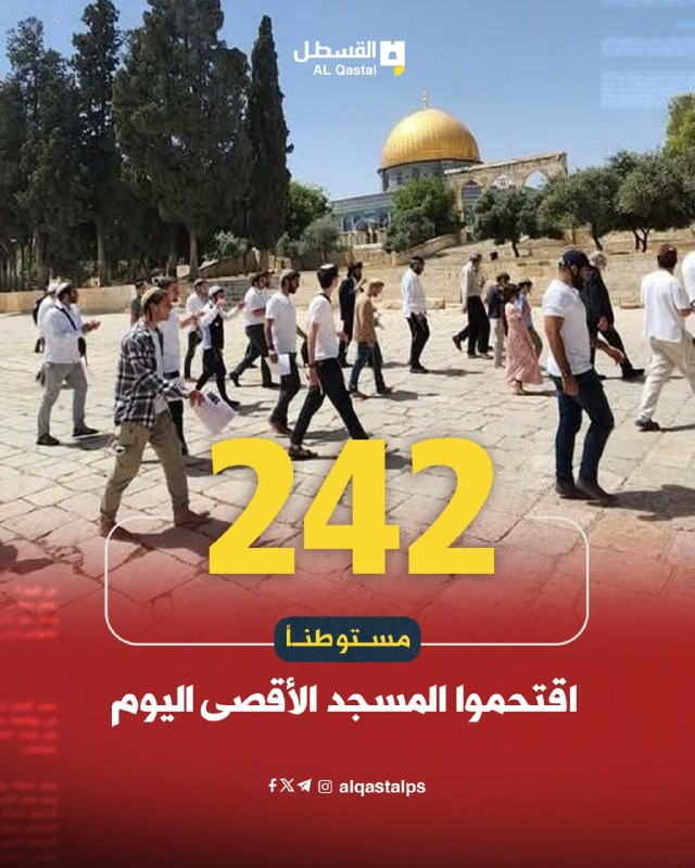 مستوطنون يواصلون أنشطتهم تحت حماية الاحتلال