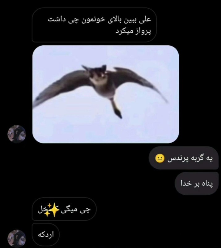 ادیـب فرهیـختـه: 🤣🤣🤣@adib_farhikhteh