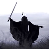 dimonProject