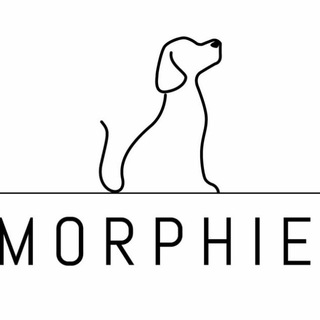 MorphieNetwork
