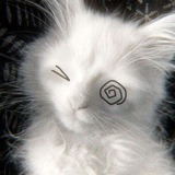 [набор в адм.] KF CATS