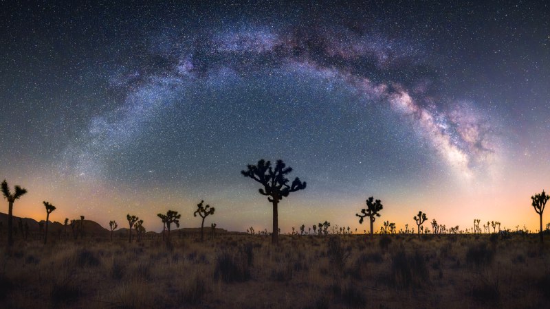 Under the spell of the Milky WayJoshua trees under the Milky Way, California (© Chao Zhang/Getty Images)