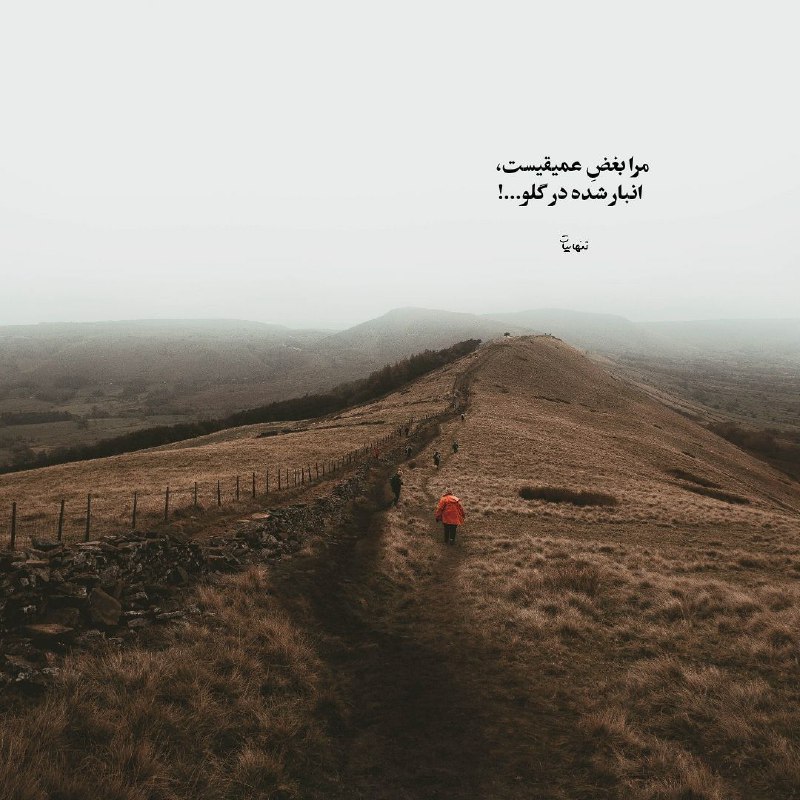 Profile Special: رسانه پست