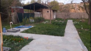 Dacha sotiladi 7 sotix.