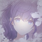 Price Iris