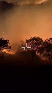 🎦 מקורות ערביים מדווחים על שריפה אדירה בסולימאני, עיראק.