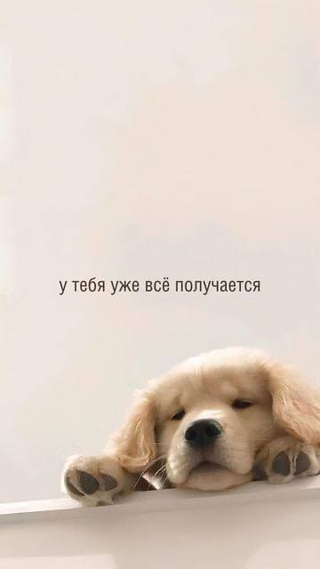 Забирайте послание на день если отправишь своей любимке Я В ДОМИКЕ Please open Telegram to view this post VIEW IN TELEGRAM - изображение 9 - telegram, view, забирайте