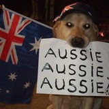 𝐴𝑢𝑠𝑡𝑟𝑎𝑙𝑖𝑎 [🇦🇺] | 𝑵𝑾𝑪.𝑵𝑬𝑻
