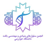 انجمن سلول‌هاى بنيادى و مهندسى بافت