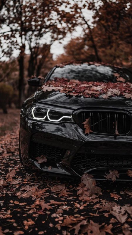 https://t.me/bmw_mpower_club