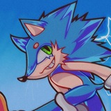Sonic disapproves