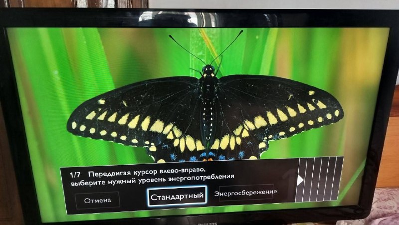 Телевизор Philips Диагональ 42» — фото 1