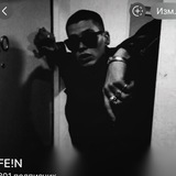 Архив FE!N