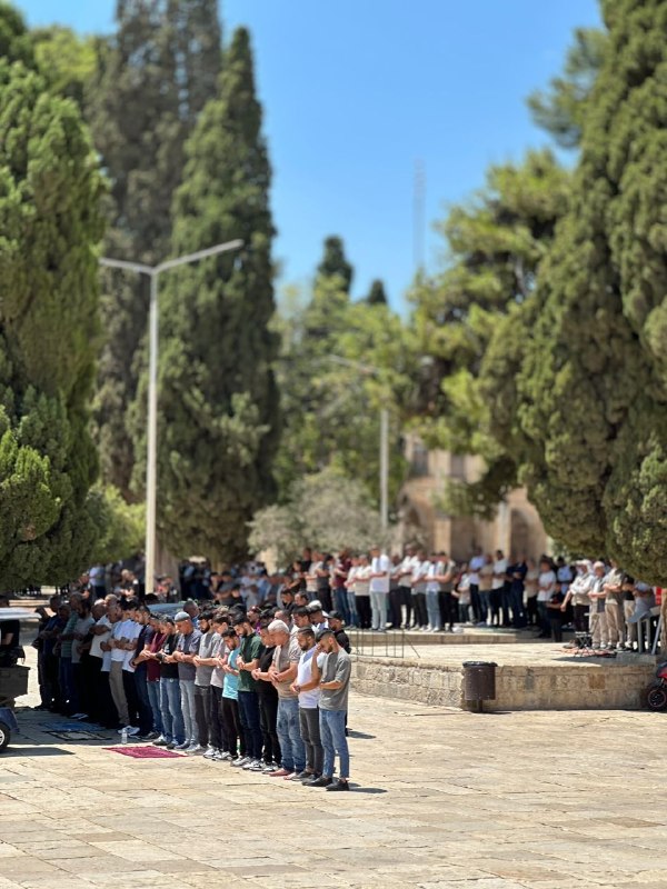 עשרות אלפים מקיימים תפילת יום שישי במסגד אל-אקצא המבורך.