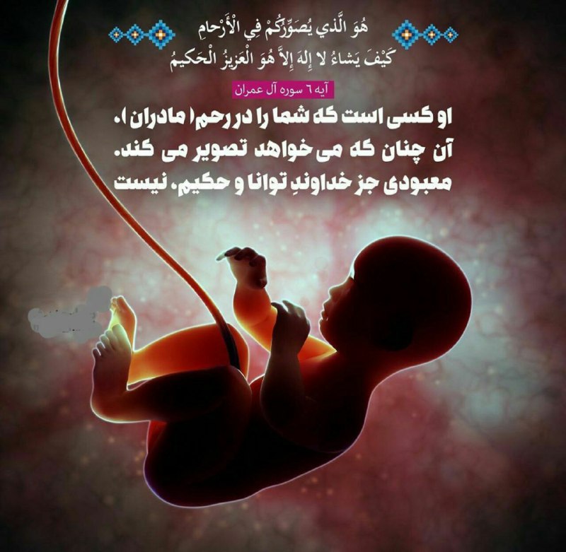🌷 در سایه سار‌ قرآن 🌷: 🥰هُوَ الَّذی یُصَوِّرُکُم فِی الاَرحامِ کَیفَ یَشاءُ لا اِلهَ اِلاَّ هُوَ العَزیزُالحَکیمُاو کسی است که شما را در رحم (م