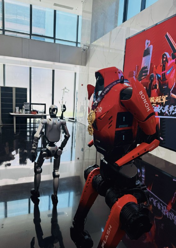 嗨嗨