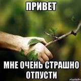 адопты викуса(не личный)