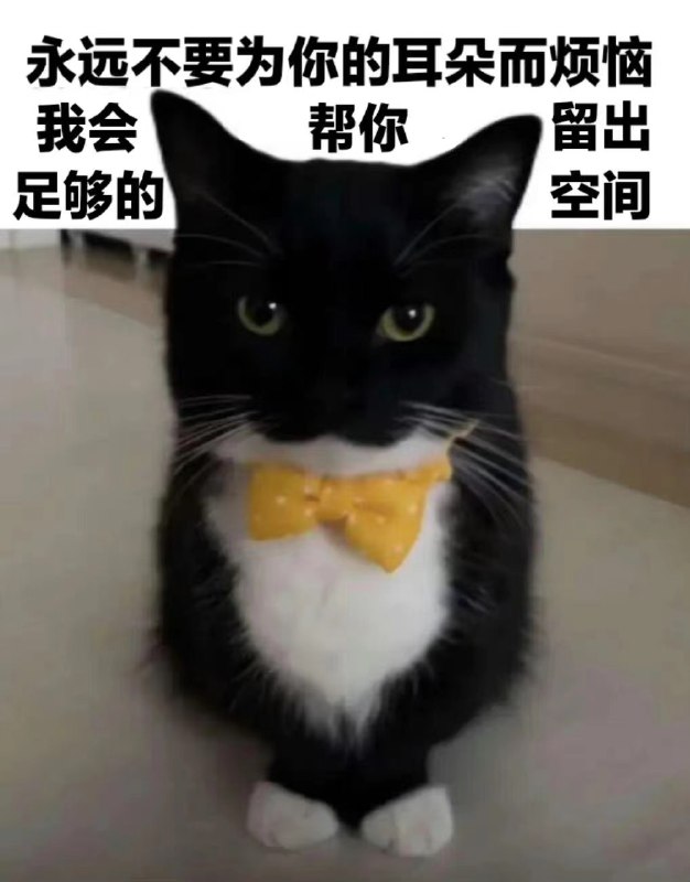 《机器人产品经理｜养电子宠物的十二时辰🤖🐱》你的电子宝宝也在努力学习人类～！养电子宠物的十二小时是需要耐心的十二小时[爱心]养你的电子宠物真的像养娃你教孩子说话（LLM） 教孩子认识世界 （世界模型）教孩子自己照顾自己 教孩子越过障碍孩子与物理世界交互学习的过程就是多种模态的数据融合过程，比如教孩子模仿动画片里的人物动作（仿真数据），教孩子认识世界里的各种东西（人类视频数据），在一些任务完成不好的时候教他自己拿稳水杯（遥操）孩子做的不好的地方得反复教，他得摔无数的跤 你家孩子学习得越来越好（强化学习）孩子哭了 不想练了 得给个小糖果呀（奖励函数）孩子是不可控的 你也不知道你长出来的孩子是不是总是听你话的😝（对齐？）《机器人产品经理｜养电子宠物的十二时辰🤖🐱》你的电子宝宝也在努力学习人类～！养电子宠物的十二小时是需要耐心的十二小时[爱心]养你的电子宠物真的像养娃你教孩子说话（LLM） 教孩子认识世界 （世界模型）教孩子自己照顾自己 教孩子越过障碍孩子与物理世界交互学习的过程就是多种模态的数据融合过程，比如教孩子模仿动画片里的人物动作（仿真数据），教孩子认识世界里的各种东西（人类视频数据），在一些任务完成不好的时候教他自己拿稳水杯（遥操）孩子做的不好的地方得反复教，他得摔无数的跤 你家孩子学习得越来越好（强化学习）孩子哭了 不想练了 得给个小糖果呀（奖励函数）孩子是不可控的 你也不知道你长出来的孩子是不是总是听你话的😝（对齐？）
