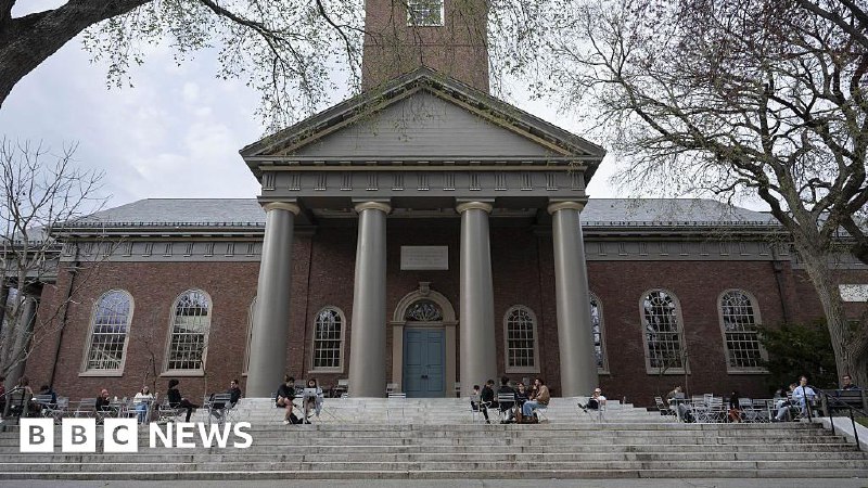 Harvard head apologises as scathing reports on campus prejudice released