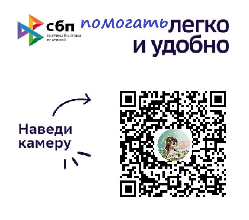 🚨 *НАЙДА, собачка, попавшая под машину,* до сих пор на...