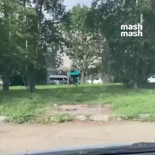Патрики со своими дамами с собачками — забыты. Новый стиль — дамы с кенгурятами в Комсомольске-на-Амуре.рашн свага❗ Не грузятся фото и видео? Читайте нас в MAX