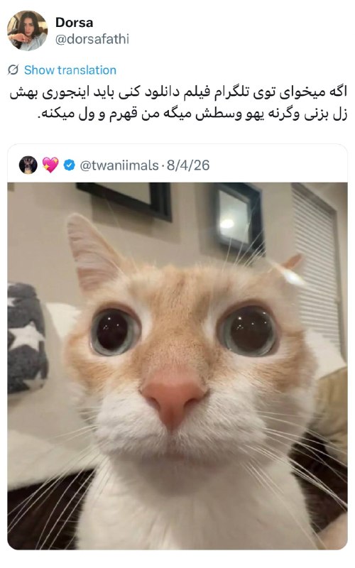 Comentive | کامنتیو: چون این میمه خیلی بامزهست، یه پارت دیگه ازش ببینیم =)))))@Comentiveچون این میمه خیلی بامزهست، یه پارت دیگه ازش ببینیم