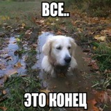 мечты творца