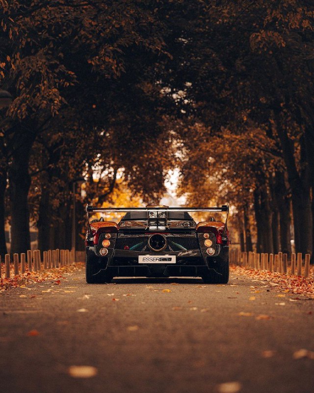 Pagani Zonda MY Roadster 10