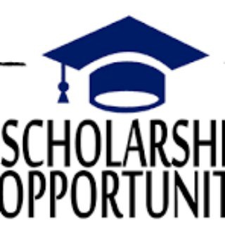 Scholarships and Career Opportunities Telegram Group Link