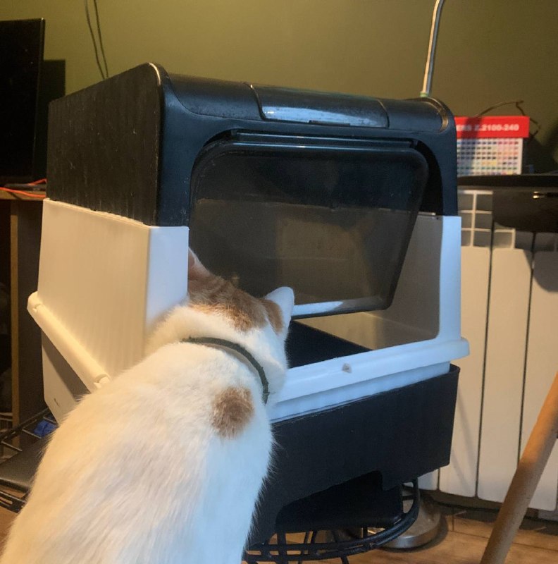 продам разборный закрытый кошачий лоток, долго стоял на балконе, нужно будет промыть от пыли/дождя — фото 1