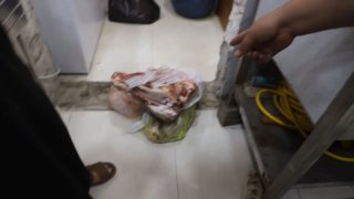 🇮🇶 חדשות אל נחיל 🇮🇶