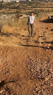 מתנחל מתגרה באנשים לאחר ששחרר את הבהמות שלו בח'רבת אל-בטם במסאפר יטא, דרומית לחברון