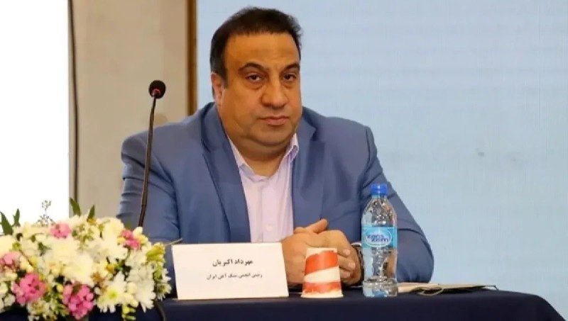 چندثانیه آنلاین: کمبود سنگ آهن در حال حاضر اولویت فولادسازان نیست / مشکل اصلی انرژی و نقدینگی استمهرداد اکبریان، رئیس انجمن تولیدکنندگان