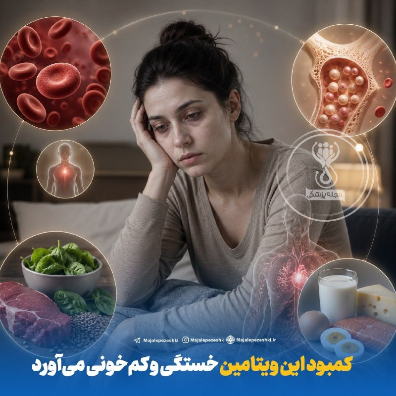 💚 زندگی و سلامتی💚: *کمبود این ویتامین خستگی و کمخونی میآورد*◽️ اگر مدام احساس خستگی و بیحالی میکنید، کمبود آهن یا ویتامین B۱۲ میتواند