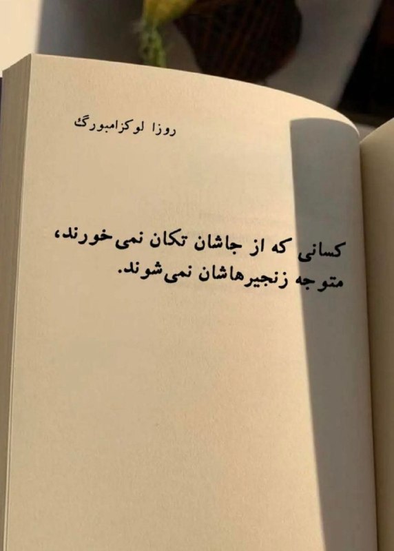 📸 گلچین بهترینها 🗒🎼: رسانه پست