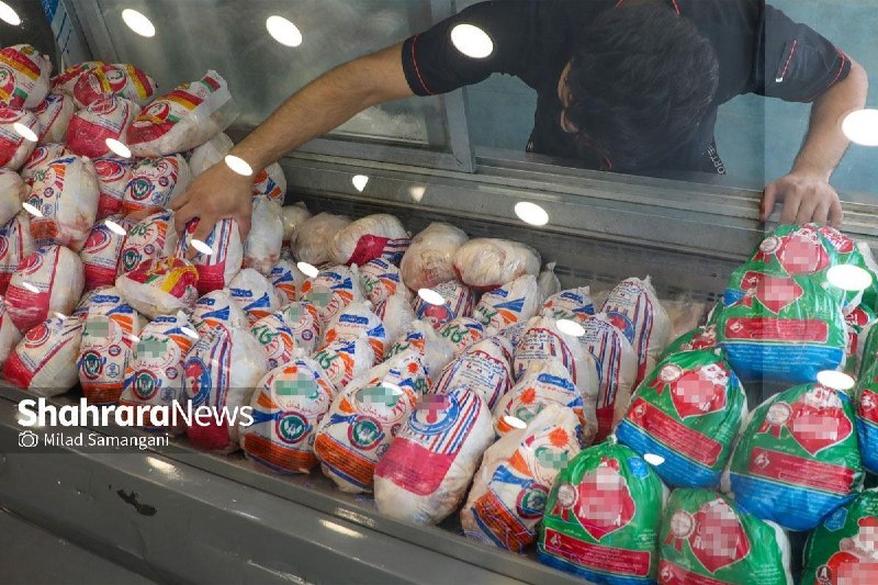 شهرآرانیوز: 🔶آغاز توزیع مرغ منجمد قطعه بندی شده در کالابرگ🔹 با تصویب ستاد تنظیم بازار، مرغ منجمد بهصورت دستهبندی و قطعهبندیشده ب