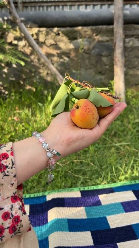 پل ارتباطی💕💗: •کنار کسانی بنشین که حضورت را می‌فهمند، نه فقط صدایت را می‌شنوند.•🩵