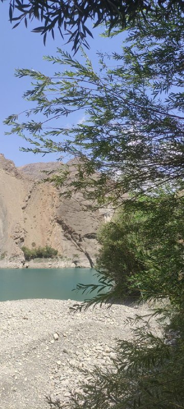 🎶آژوان🎶: او خیلی از کسانی را که هرگز ندیده بود دوست داشت. بهترین آدم‌ها همان‌ها بودند که او هرگز ندیده بود.@ajhvvan_خداحافظ گاری 