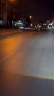 צבי תועה משוטט ברחובות מרג' חרוף - נבטי