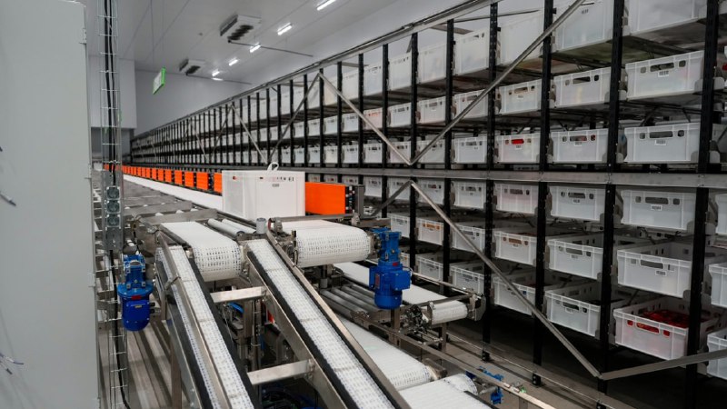 Зампреду правительства продемонстрировали на 70% роботизированный продовольственный склад с российским оборудованием. фото